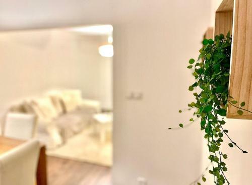 Apartamento *fontaine Moussue*hyper Centre*t2 Standing*