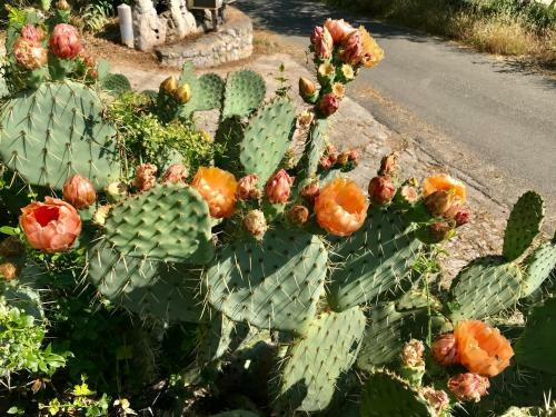 Hebergements Des Posas