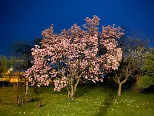 Hostal Ch�teau De Chatenay - Macon
