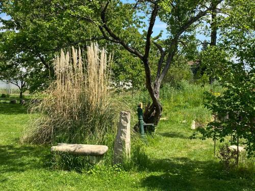 Hostal Ch�teau De Chatenay - Macon