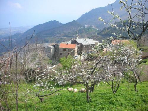 Apartamento Sole E Ventu 30qm