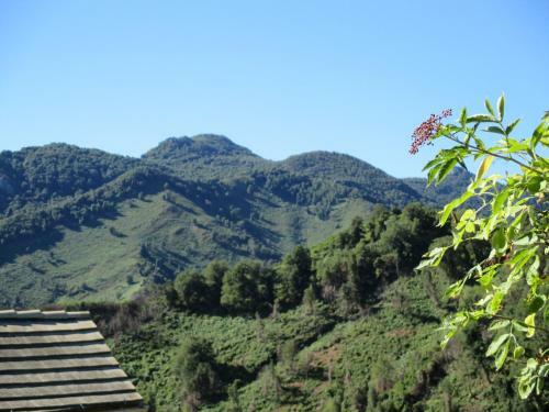 Apartamento Sole E Ventu (70 Qm)