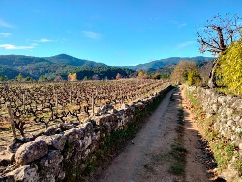 Maison De Hameau Ard�chois Avec Vue Imprenable