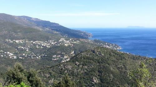 Ch�teau Cagninacci B&B