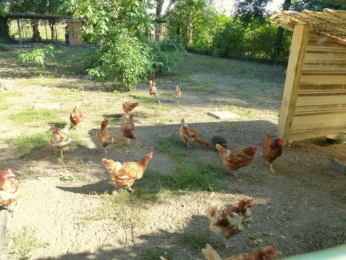 G�te Sanssat, 4 Pi�ces, 8 Personnes - Fr-1-489-192
