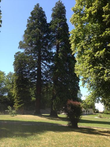 Hostal Ch�teau De St Alyre
