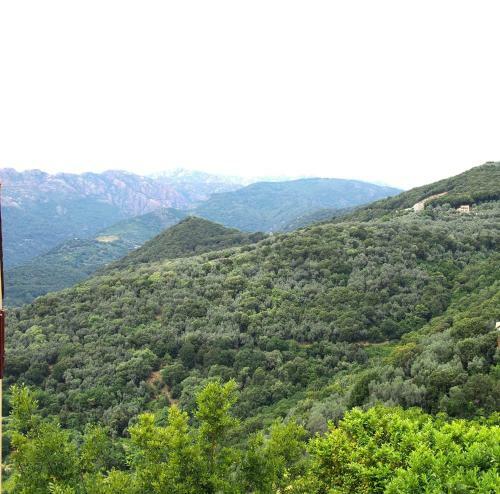 Apartamento Maison de Vacances Le Petit Nid D'amour Poggio