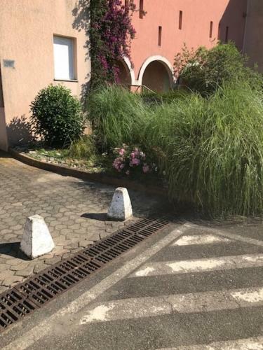 Apartamento Corsica Studio Face � La Mer Moriani Plage
