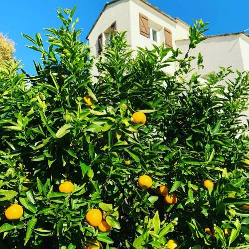 Apartamento Vita Nova
