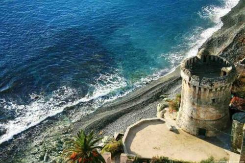 Apartamento Studio �quip� � 30m de La Plage de Miomo,5mn de Bastia,cap-corse