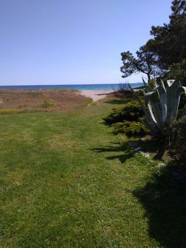 Apartamento Appt Plage Et Soleil