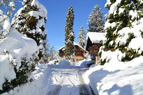 Apartamentos Chalet Des Fleurs
