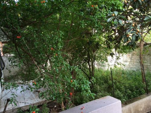 Konakli Apartments Izmir