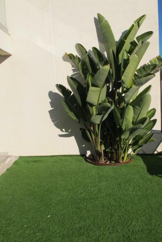Apartamentos L Olivier Sanary A