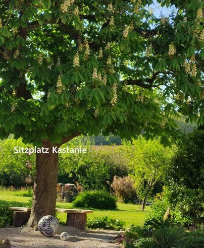 Bed & Breakfast Maison Vue Pyr�n�es