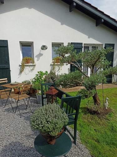 Bed & Breakfast Loretxea