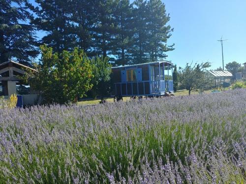 Bed & Breakfast Le Mas Des Lavandes