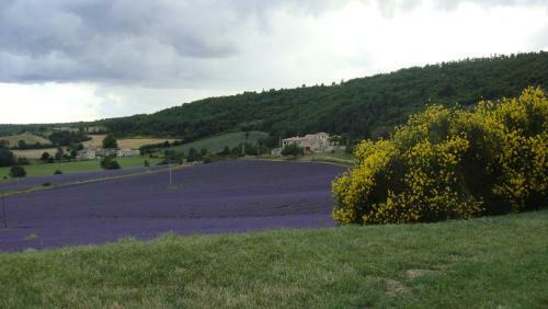 Bed & Breakfast La Maison Bleue