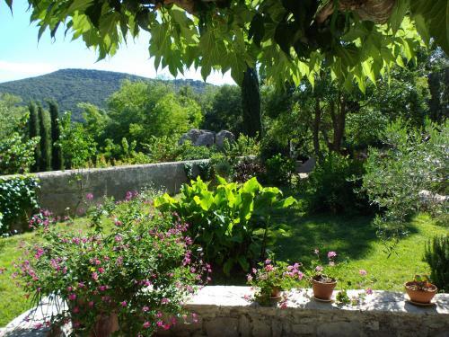Bed & Breakfast Logis Des Magnans - Le Murier -