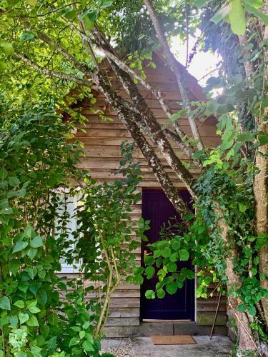 Chalet Au Bord De L Eau