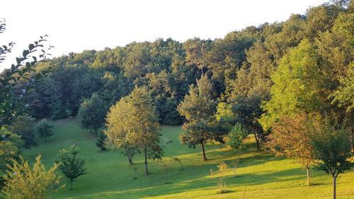 Domaine De La Queyrie
