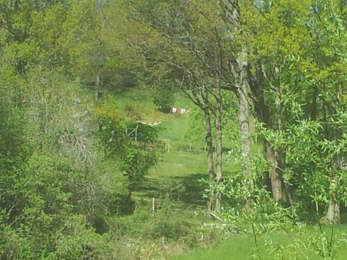 Agroturismo La Clairiere