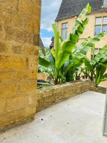 Apartamento Sarlat.catalina