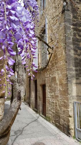 Apartamento Le Rousseau Sarlat