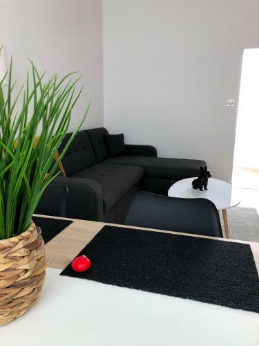 Apartamento Appartement Spacieux Et Fonctionnel