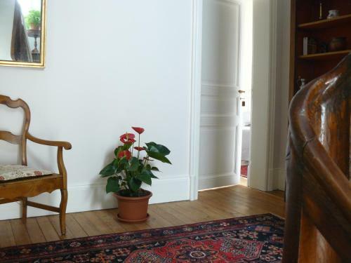 Bed & Breakfast La Maison De Saumur