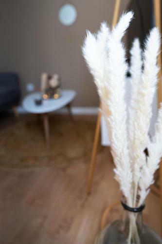 Apartamento ? Charmant Appartement Et Sa Suite Parentale ?