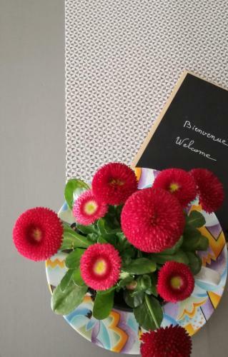 Bed & Breakfast L'antre Ami