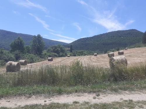 Apartamento Studio 22-le Serpollet
