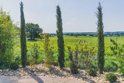 Bed & Breakfast Maison Sadina