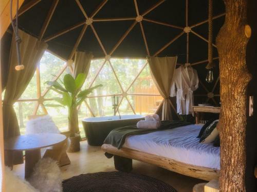 Whaka Lodge