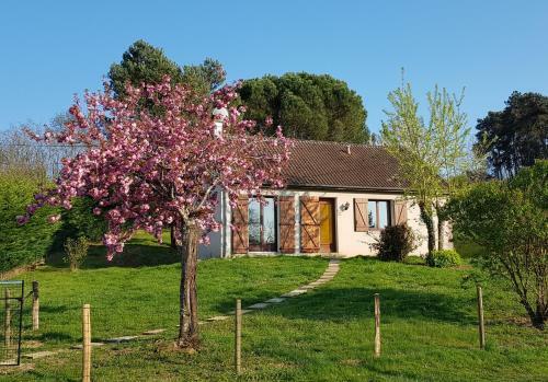 G�te De La Pomme De Pin