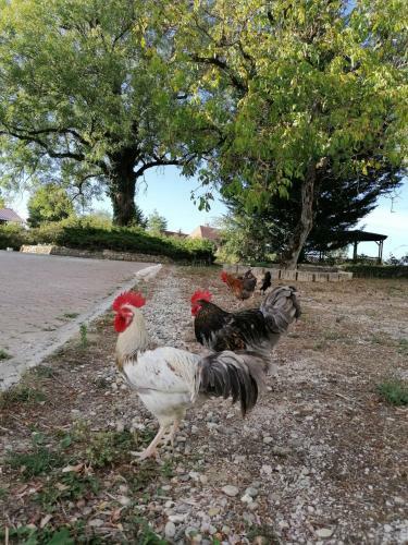 Apartamento Au Val D?orain