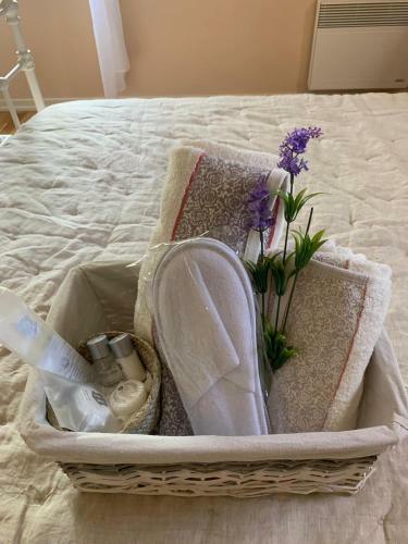 Bed & Breakfast Villa Magnolia
