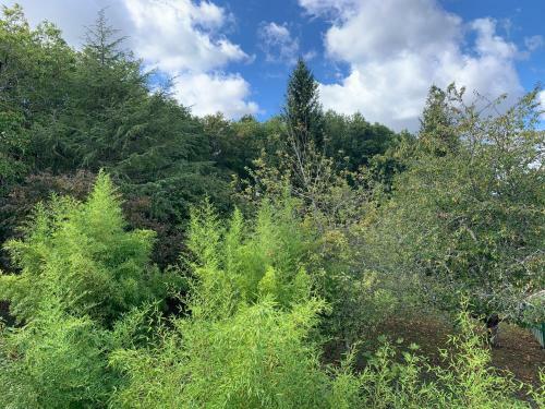 Apartamento L'albizia