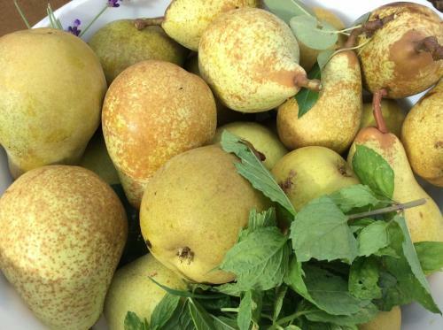 Tomates Cerises � La Ferme De Sorval