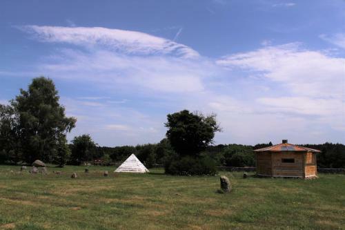 Eco Yourte