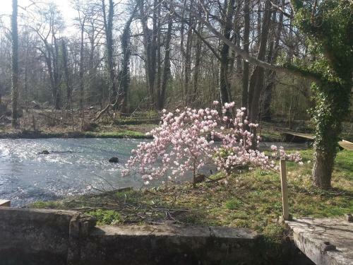 Au Moulin De Rotteleux