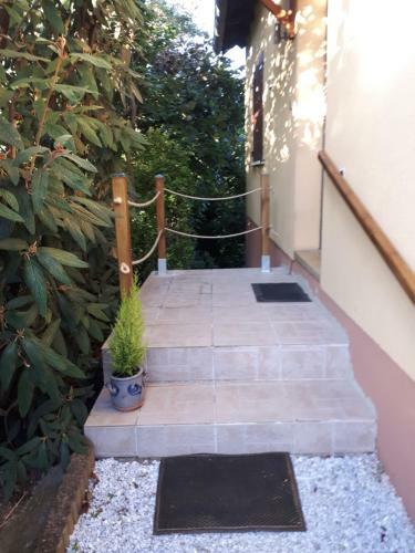 Le Chouette G�te