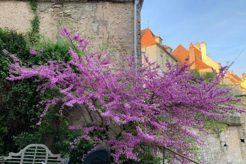 Apartamento Burgondy Medieval City Studio 3***