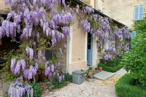 Apartamento Burgondy Medieval City Studio 3***