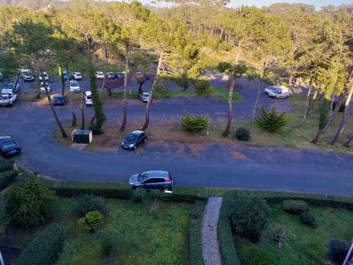Apartamento Studio � L'oc�an Au Dessus Des Pins (Plage & Commerces � Pied)