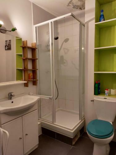 Apartamento Studio � L'oc�an Au Dessus Des Pins (Plage & Commerces � Pied)