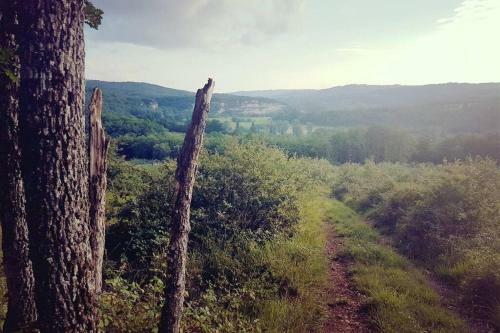 Gites � Saint L�on Sur Vezere