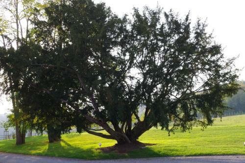 Bed & Breakfast Le Domaine De Prin