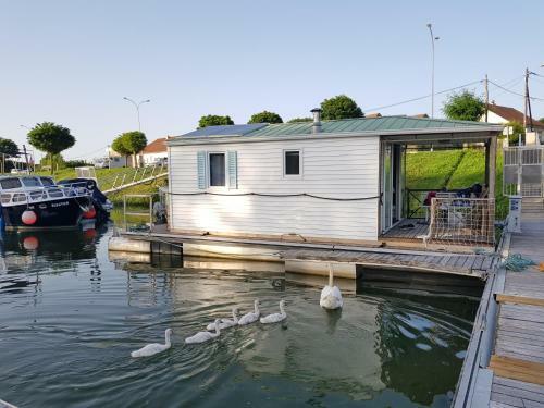 Cottage Insolite Jacuzzi Seurre Proche Beaune